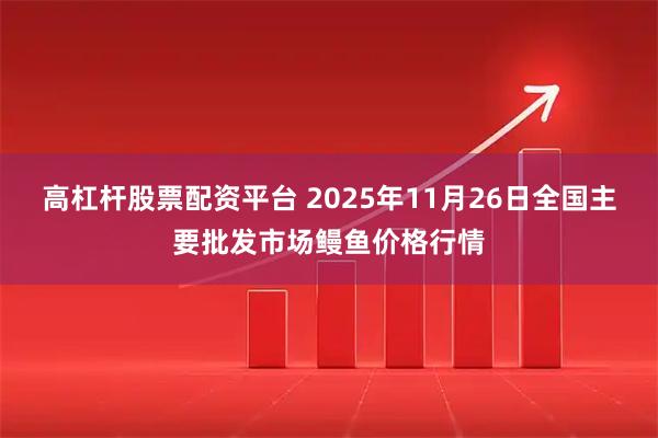 高杠杆股票配资平台 2025年11月26日全国主要批发市场鳗鱼价格行情